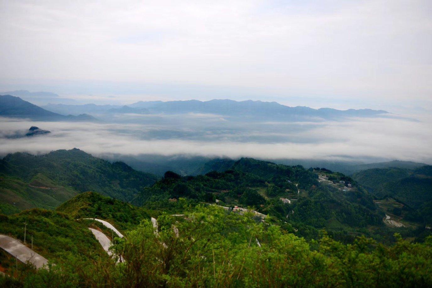 逃离拼图花园