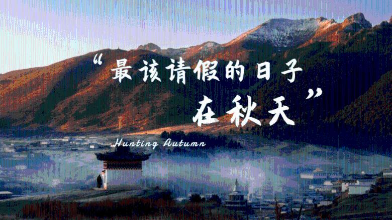 滚动的奶酪选关版