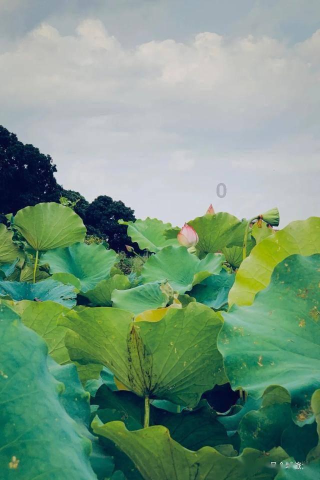 美发沙龙设计师
