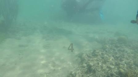 特等英雄被马家军打断4根肋骨，他发明一种武器，让敌人损失惨重