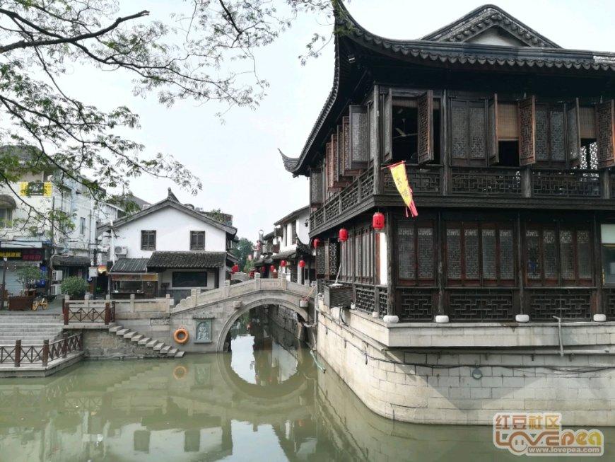 急速变色龙